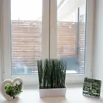 Perle Vendeghaz *